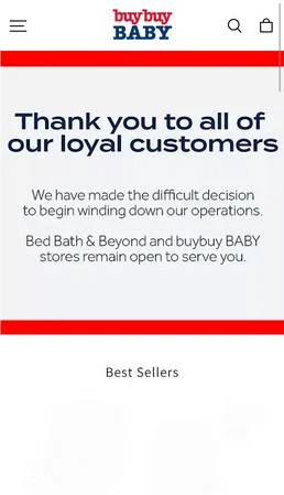Infantsjoyful.com Scam Alert: What You Need To Know 1 infantsjoyful.com scam