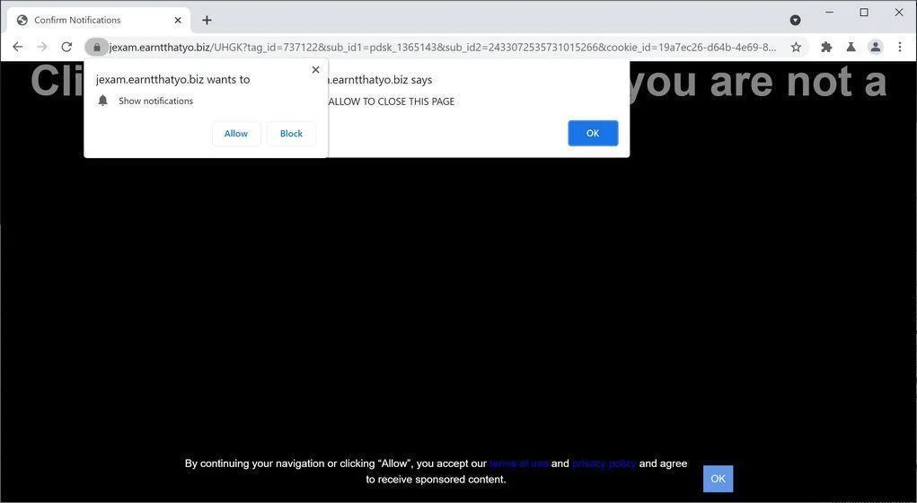 Image: Chrome browser is redirected to Earntthatyo.biz