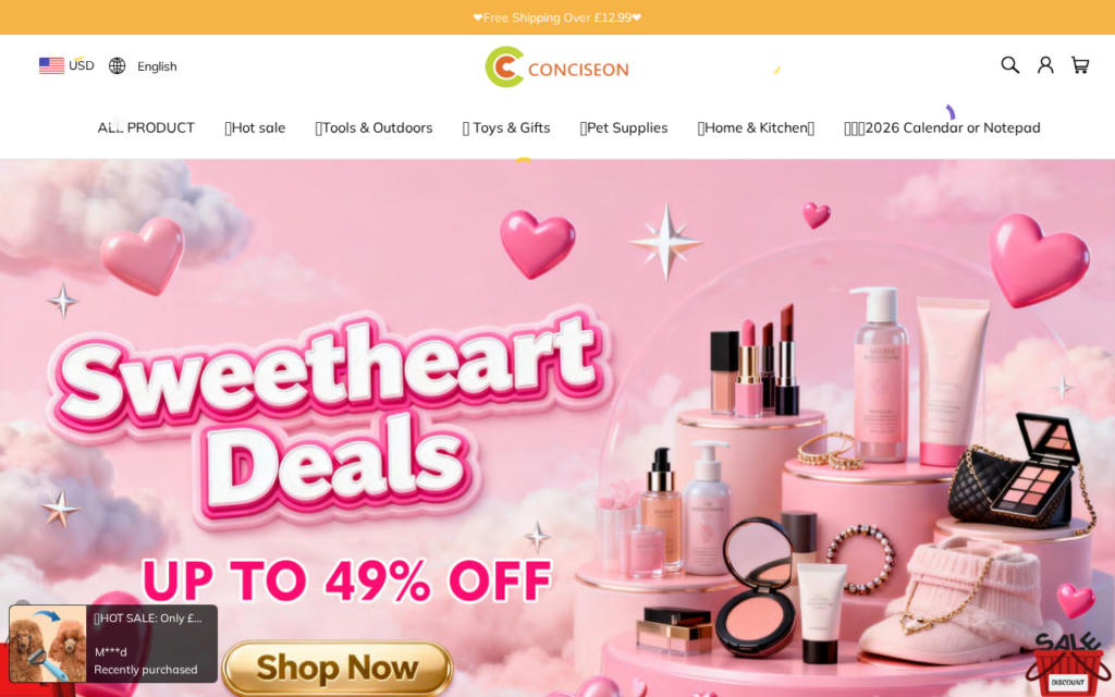 Conciseon.com scam