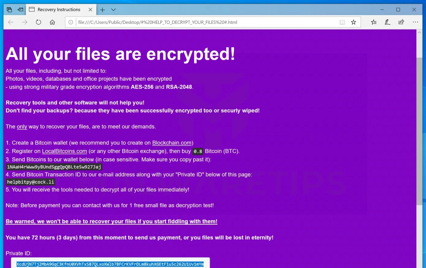 bitpy ransomware