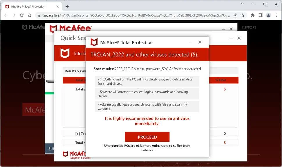 Image: Chrome browser is redirected to Secags.live