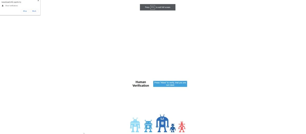 Image: Chrome browser is redirected to the Newstoad.info site