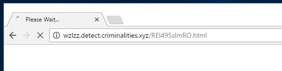 wzlzz.detect.criminalities.xyz virus