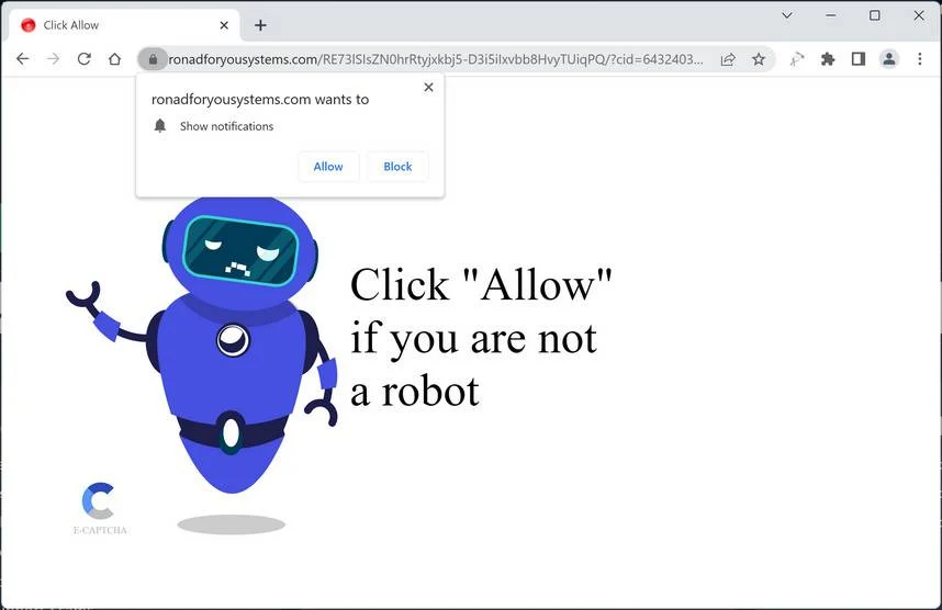 Image: Ronadforyousystems.com ads