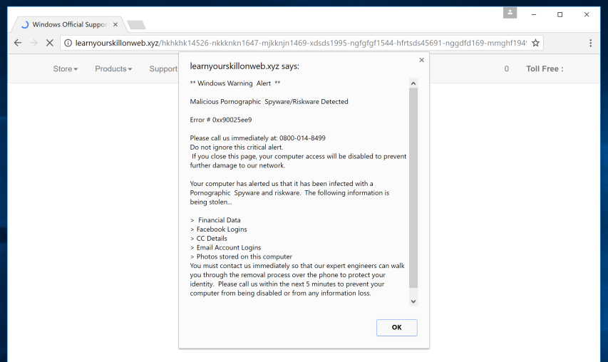 Error # 0xx90025ee9 adware