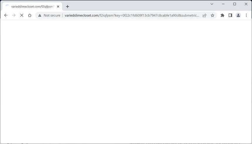 Image: Chrome browser is redirected to the Variedslimecloset.com site