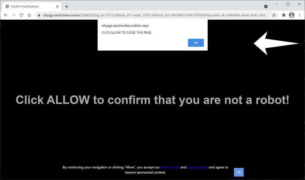 Remove Eautionlea.online pop-up ads (Virus Removal Guide) 1 Image: Chrome browser is redirected to Eautionlea.online
