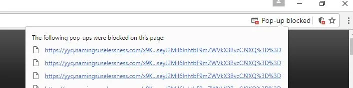 yyq.namingsuselessness.com virus