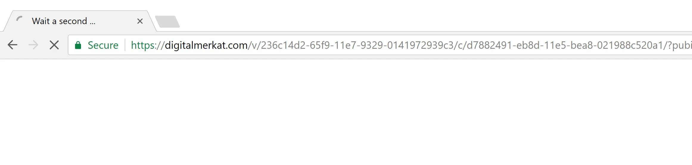 digitalmerkat.com virus