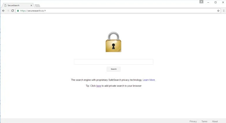 SecureSearch.co virus