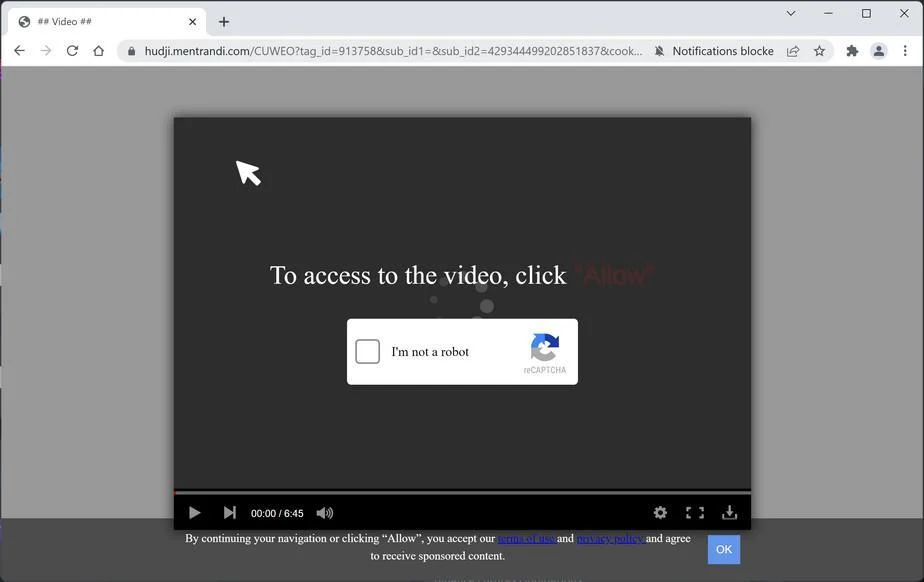 Image: Chrome browser is redirected to Mentrandi.com