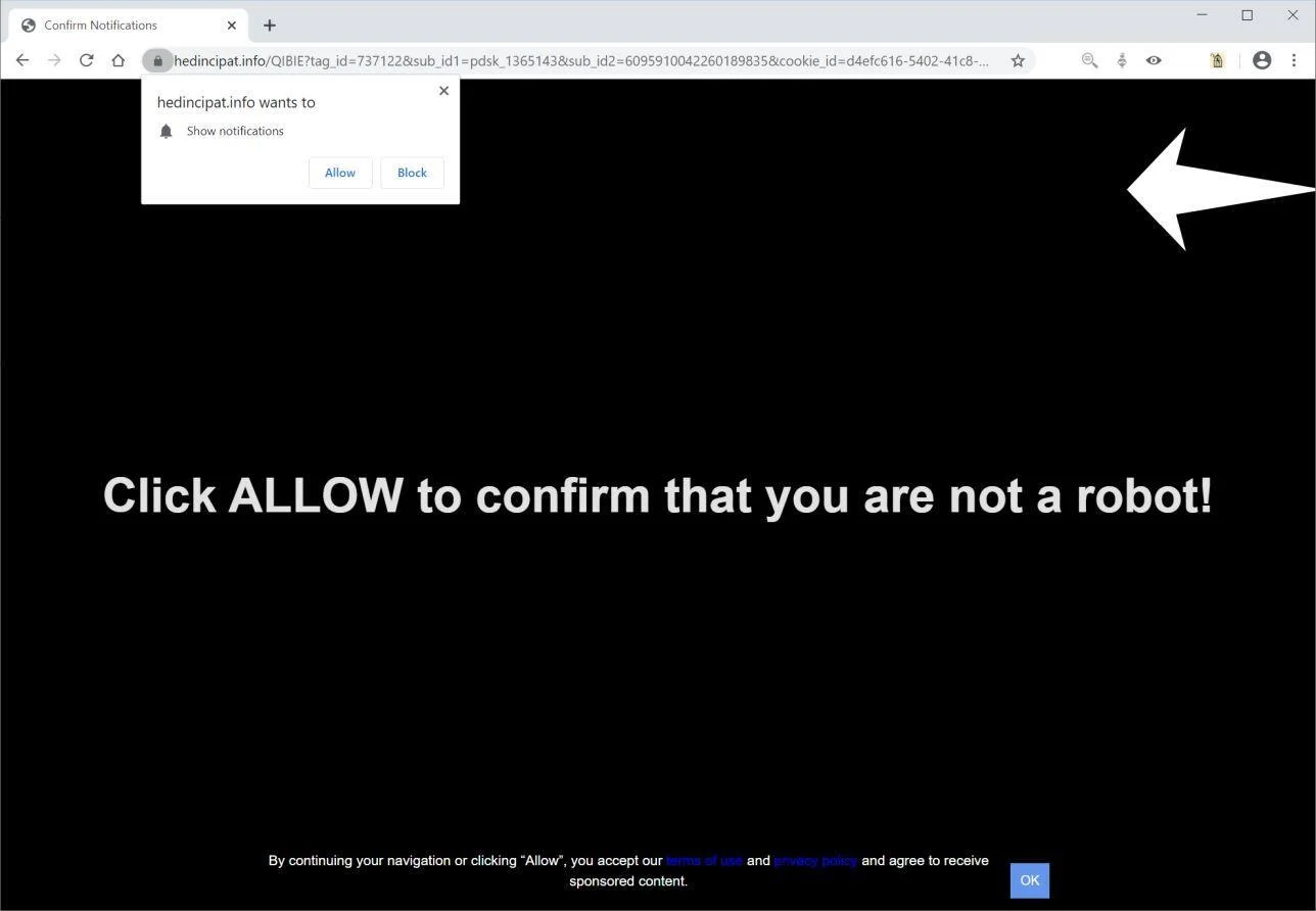 Image: Chrome browser is redirected to Hedincipat.info