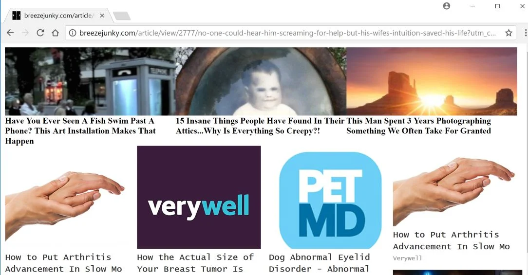 breezejunky.com virus