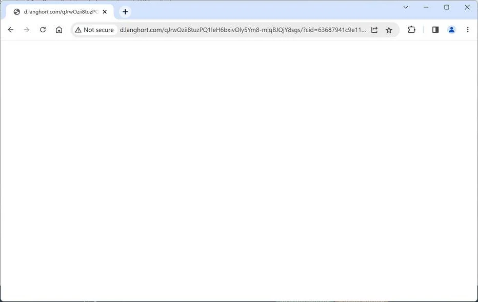 D.langhort.com Redirect