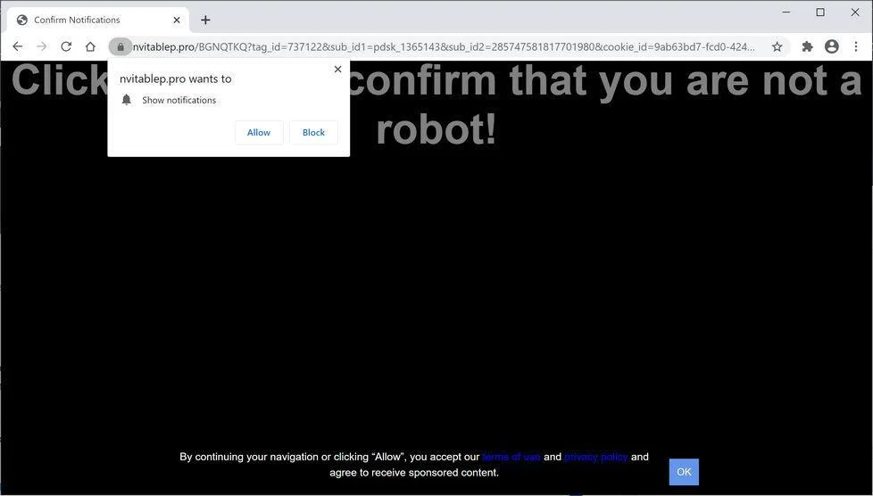 Image: Chrome browser is redirected to Nvitablep.pro