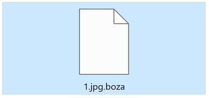 Image: BOZA Files Encrypted