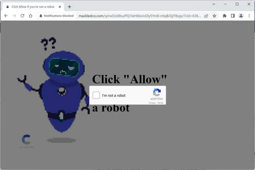 Mackledco.com ad