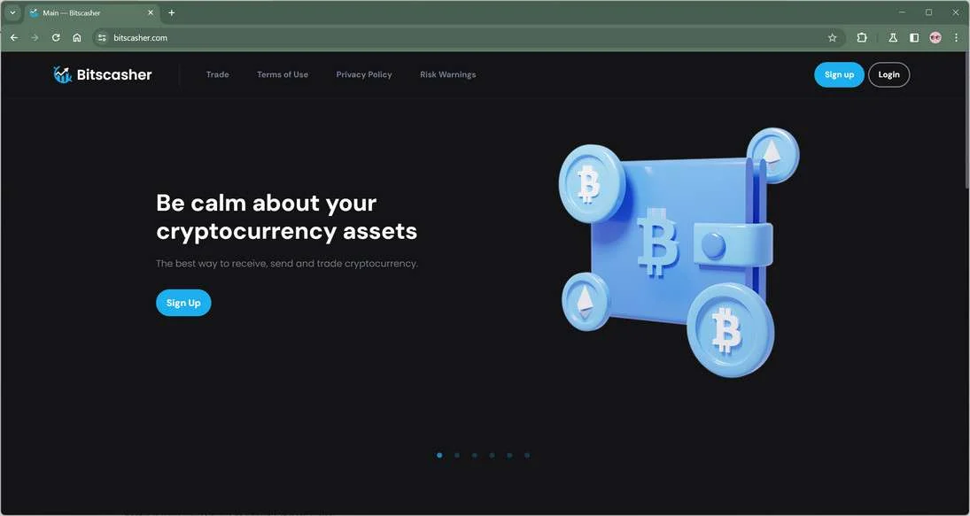Bitscasher