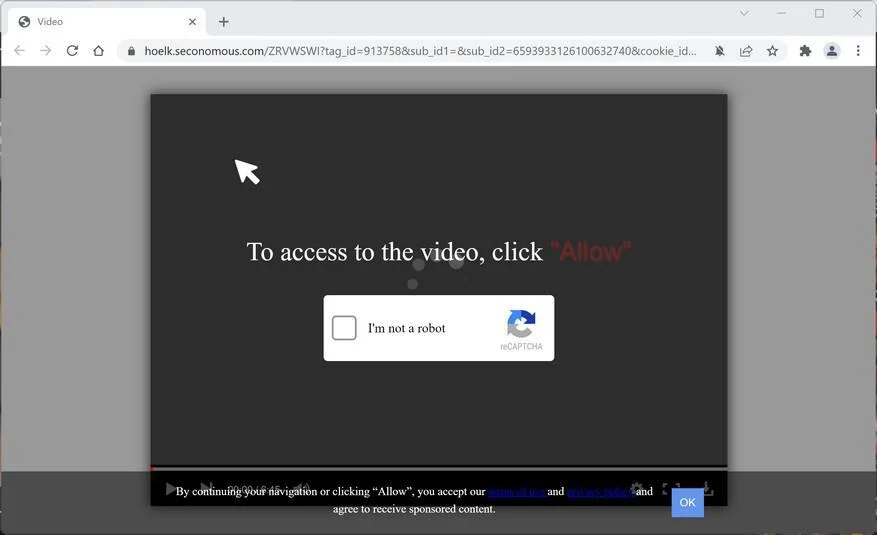 Image: Chrome browser is redirected to Seconomous.com