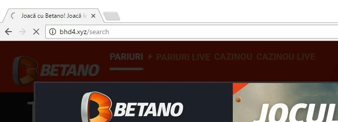 Bhd4.xyz/search virus