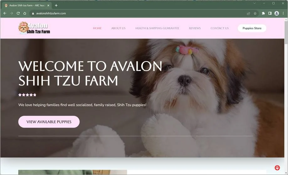 Beware of Avalonshihtzufarm.com - A Fake Puppy Scam Site 1 avalonshihtzufarm.com trendmicro