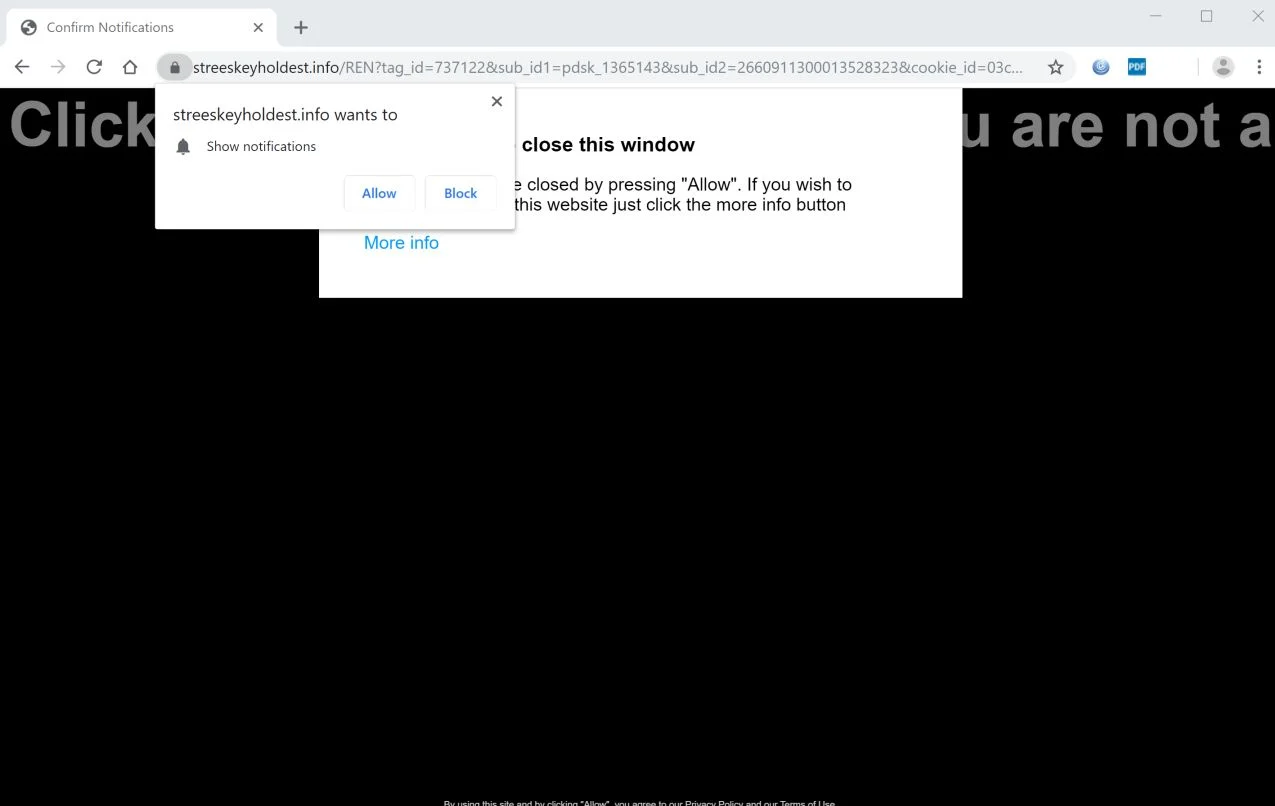 How to remove Streeskeyholdest.info pop-up ads (Virus Removal Guide) 1 Image: Chrome browser is redirected to Streeskeyholdest.info