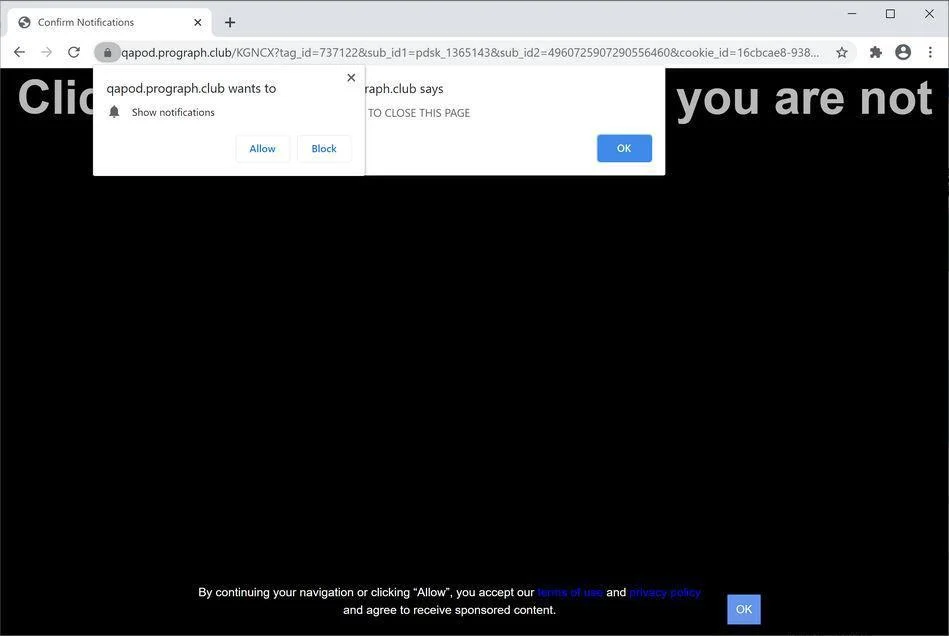 Image: Chrome browser is redirected to Prograph.club
