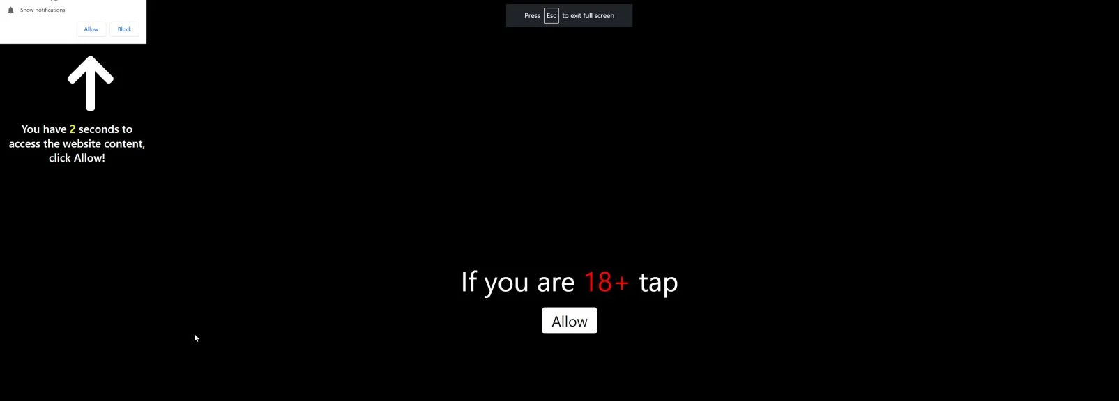 Image: Chrome browser is redirected to the Procontext.biz site