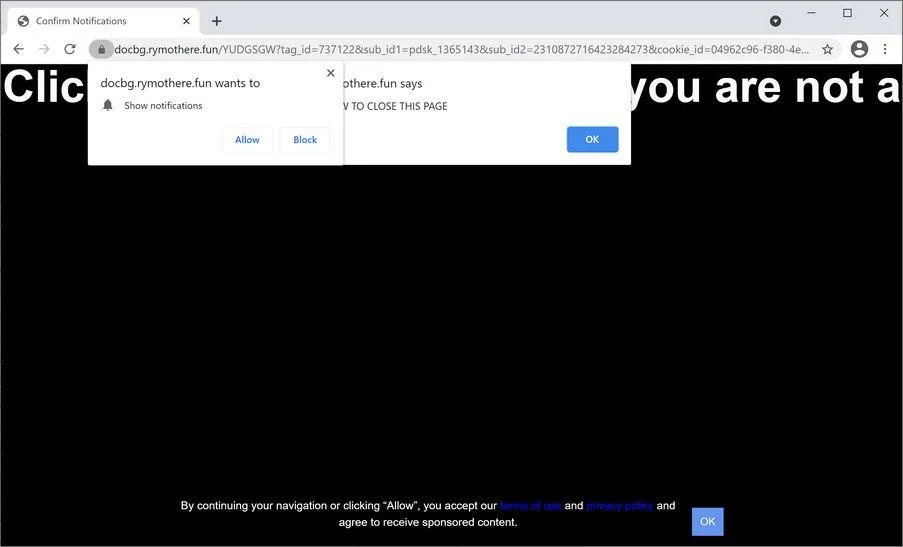 Remove Rymothere.fun pop-up ads (Virus Removal Guide) 1 Image: Chrome browser is redirected to Rymothere.fun