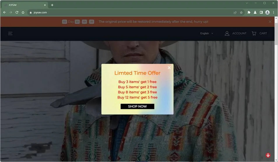 Joysav.com Review: Real Store or A Scam? Read This 1 joysav.com trendmicro