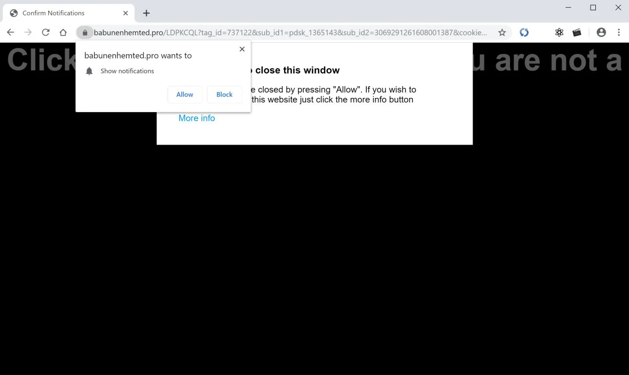 Image: Chrome browser is redirected to Babunenhemted.pro
