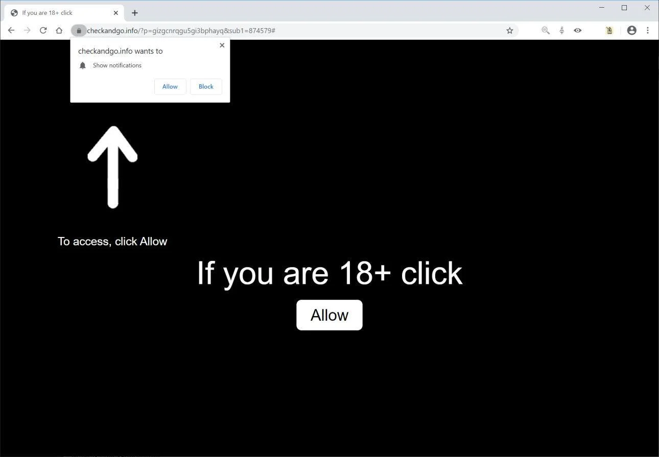 Remove Checkandgo.info pop-up ads (Virus Removal Guide) 1 Image: Chrome browser is redirected to Checkandgo.info