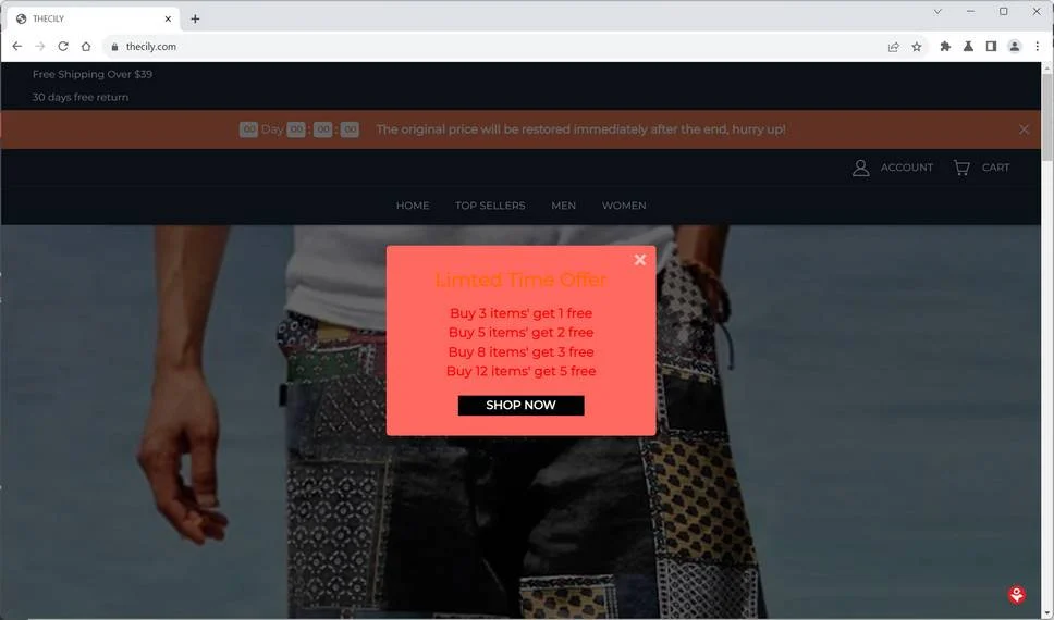 Thecily.com Review: Real Store or A Scam? Read This 1 Thecily.com trendmicro