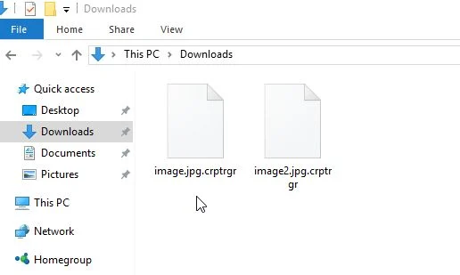 .crptrgr virus