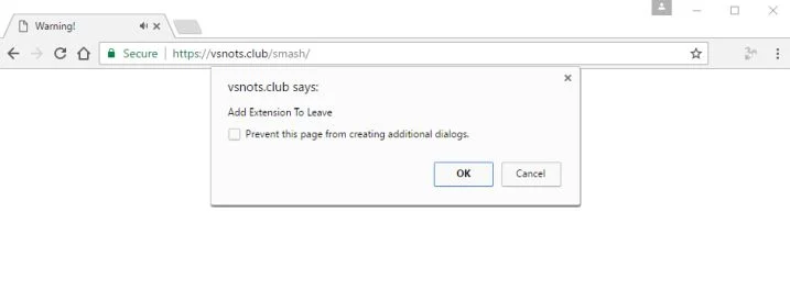 vsnots.club virus