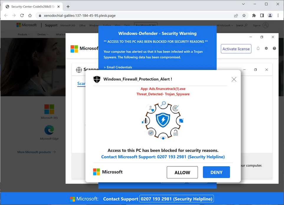 Image: Chrome browser is redirected to Plesk.Page