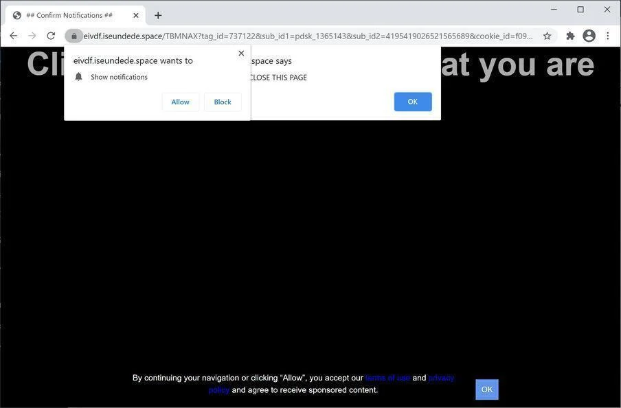 Remove Iseundede.space pop-up ads (Virus Removal Guide) 1 Image: Chrome browser is redirected to Iseundede.space