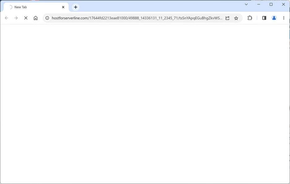 hostforserverline.com ad
