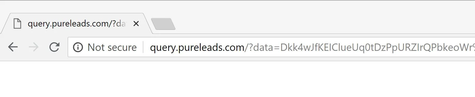 query.pureleads.com redirect virus