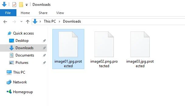 Protected Files Encrypted