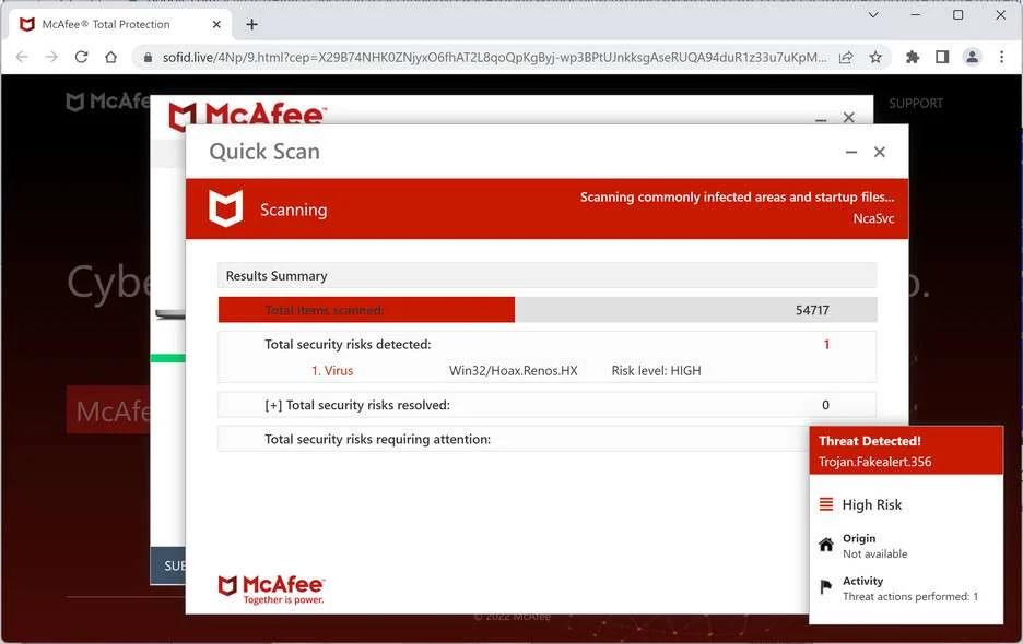 Image: Chrome browser is redirected to Sofid.live
