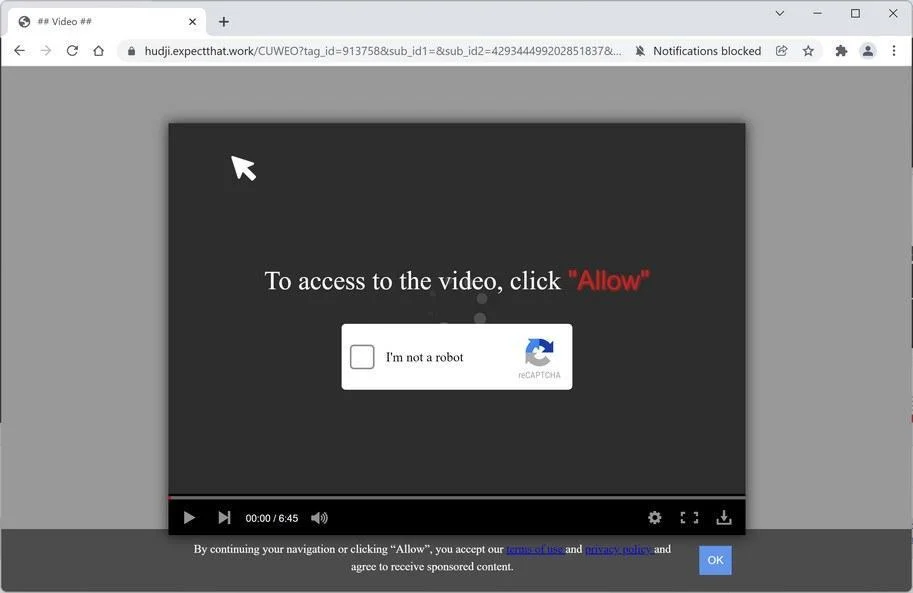 Image: Chrome browser is redirected to Expectthat.work