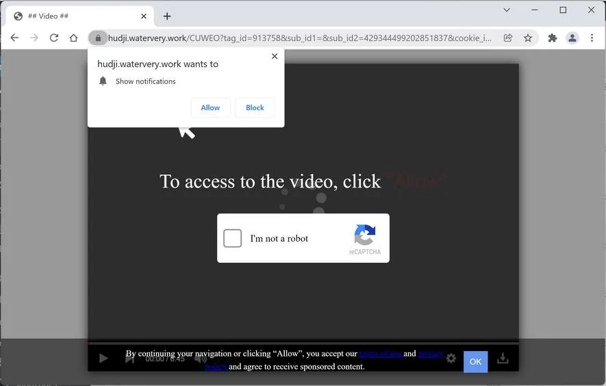 Image: Chrome browser is redirected to Watervery.work