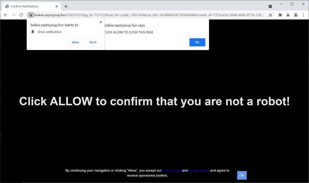 Remove Saytoyoup.fun pop-up ads (Virus Removal Guide) 1 Image: Chrome browser is redirected to Saytoyoup.fun