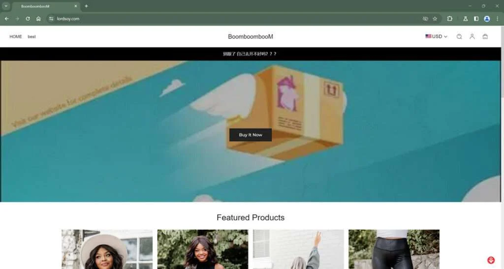 Lordsoy.com Scam Store: What You Need To Know 1 Lordsoy.com scam