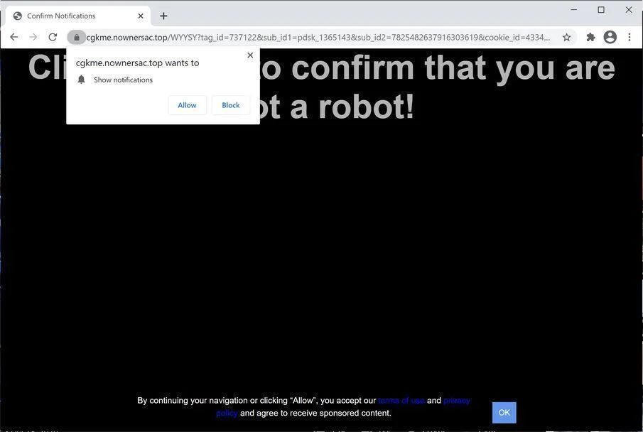 Image: Chrome browser is redirected to Nownersac.top