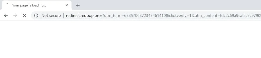 redirect.redpop.pro pop-up ads