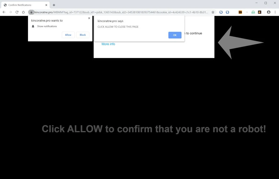 How to remove Kincoratne.pro pop-up ads (Virus Removal Guide) 1 Image: Chrome browser is redirected to Kincoratne.pro