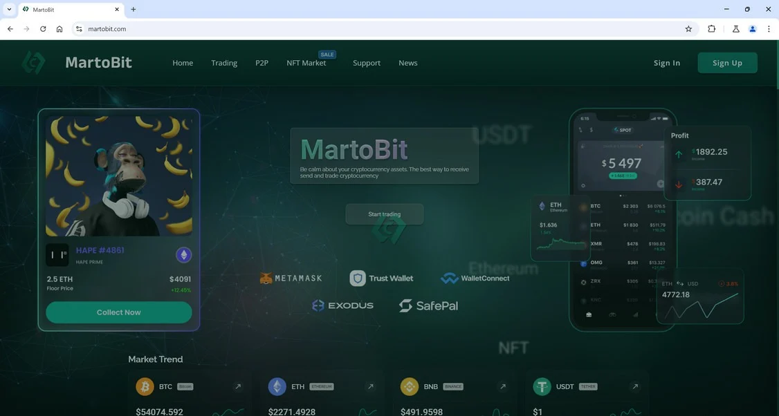 MartoBit Crypto Scam - Our Breakdown of This Crypto Con 1 MartoBit scam