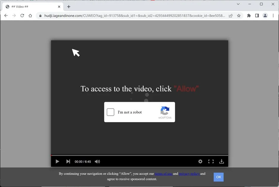 Image: Iageandinone.com Ads